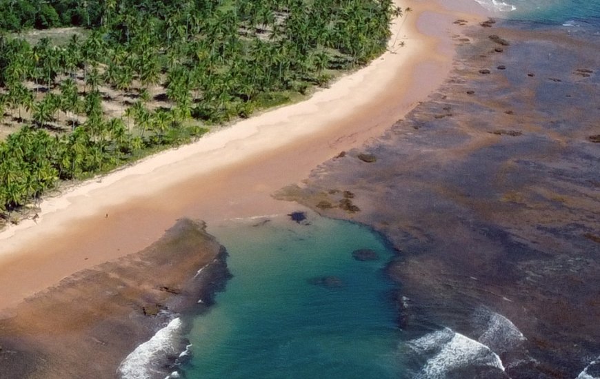 Guia de Maraú - Jorge Leite