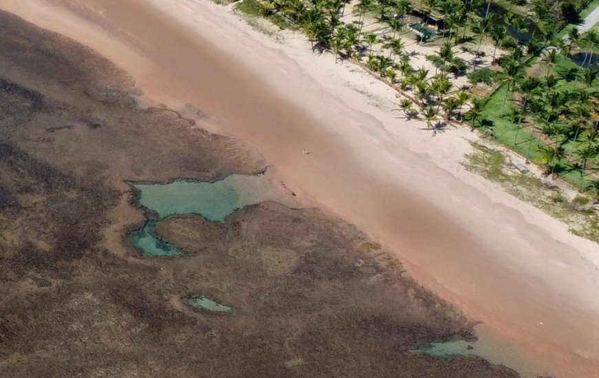 Guia de Maraú - Jorge Leite