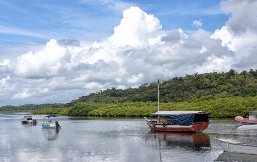 PORTO DO JOBEL