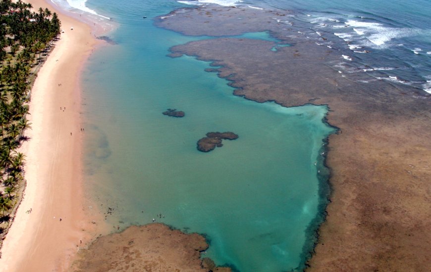 Guia de Maraú - Taipu de Fora