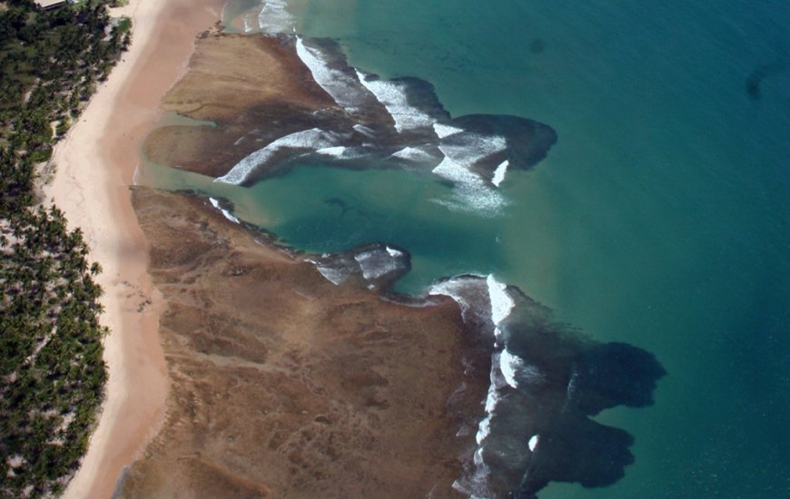 Guia de Maraú - Taipu de Fora