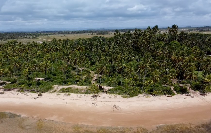 Guia de Maraú - Taipu de Fora