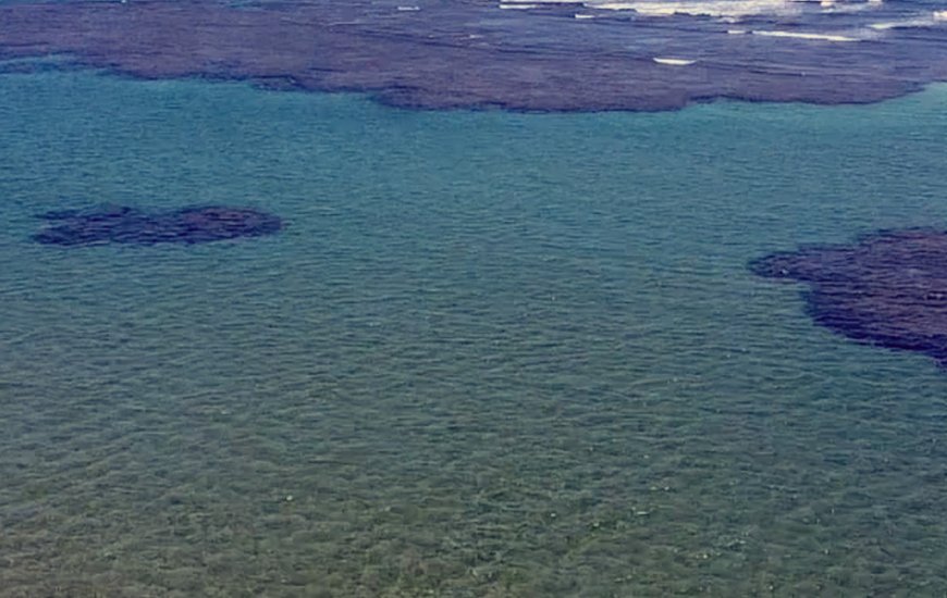 Guia de Maraú - Taipu de Fora