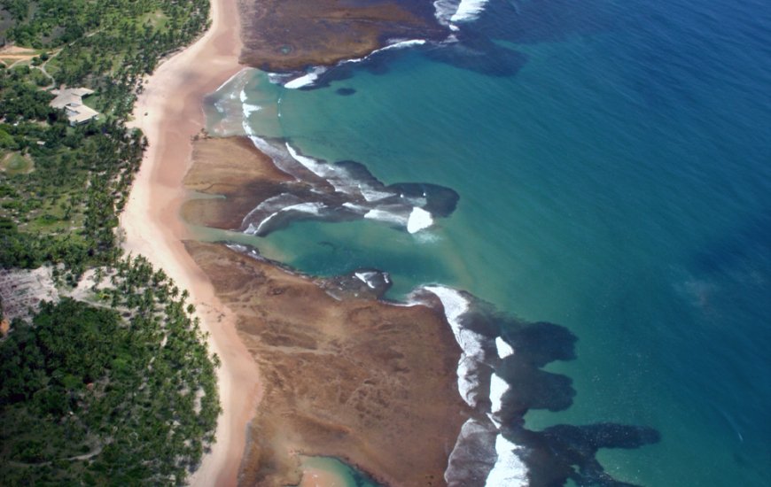 Guia de Maraú - Taipu de Fora