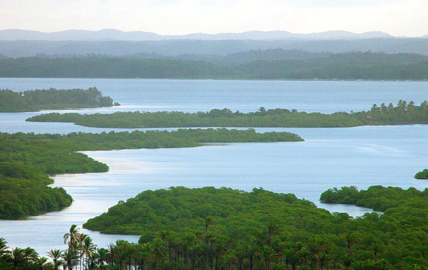 Guia de Maraú - Baía de Camamu