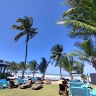 Guia de Maraú - Casa Amarela Beach Bar