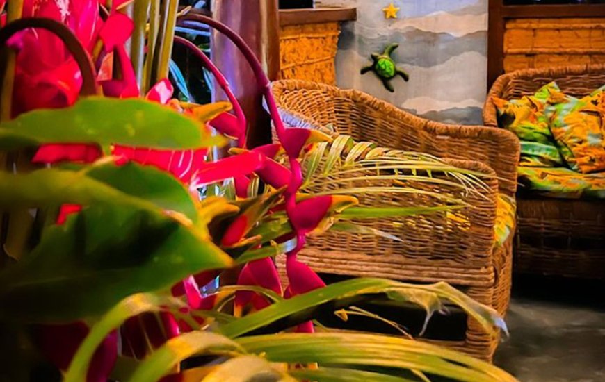 Guia de Maraú - A Tapera Restaurante