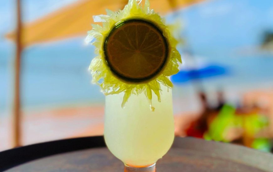 Guia de Maraú - Bahamas Beach