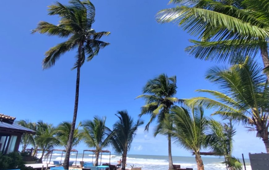 Guia de Maraú - Casa Amarela Beach Bar