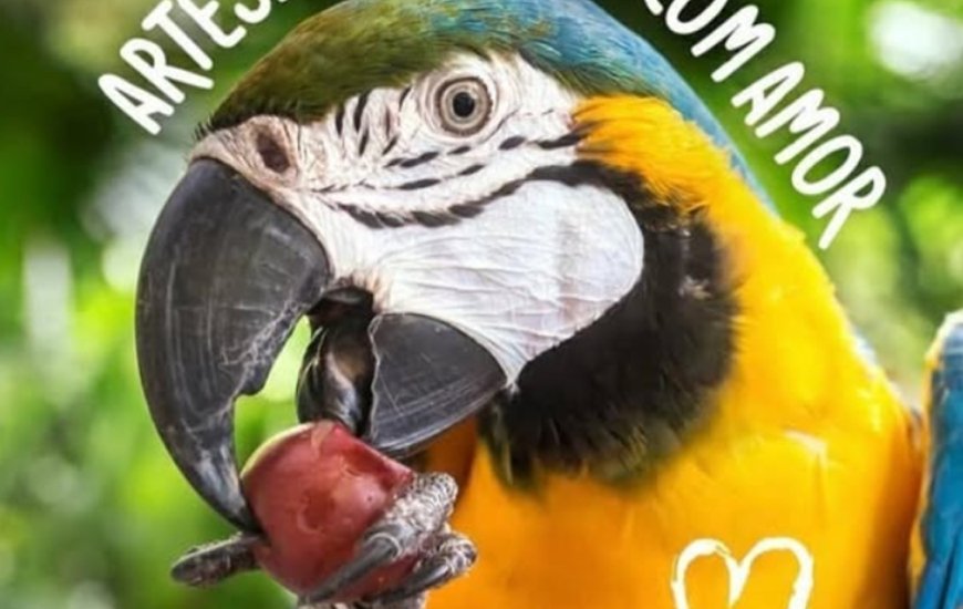 Guia de Maraú - Frutos de Goiás Sorvetes