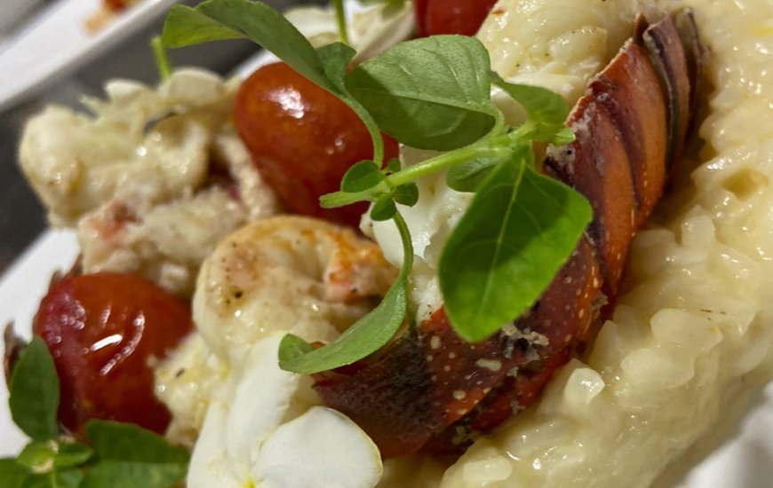 Guia de Maraú - Pizzaria Pinocchio