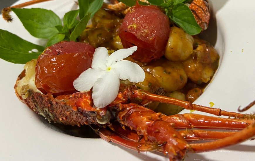 Guia de Maraú - Pizzaria Pinocchio