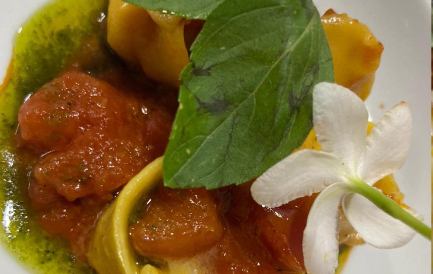 Guia de Maraú - Pizzaria Pinocchio