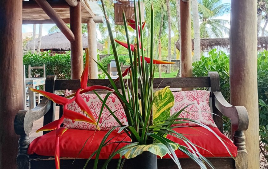 Guia de Maraú - Restaurante Denada