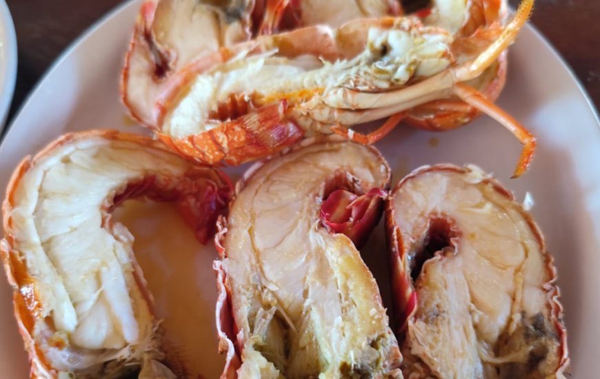 Guia de Maraú - Restaurante São Jorge