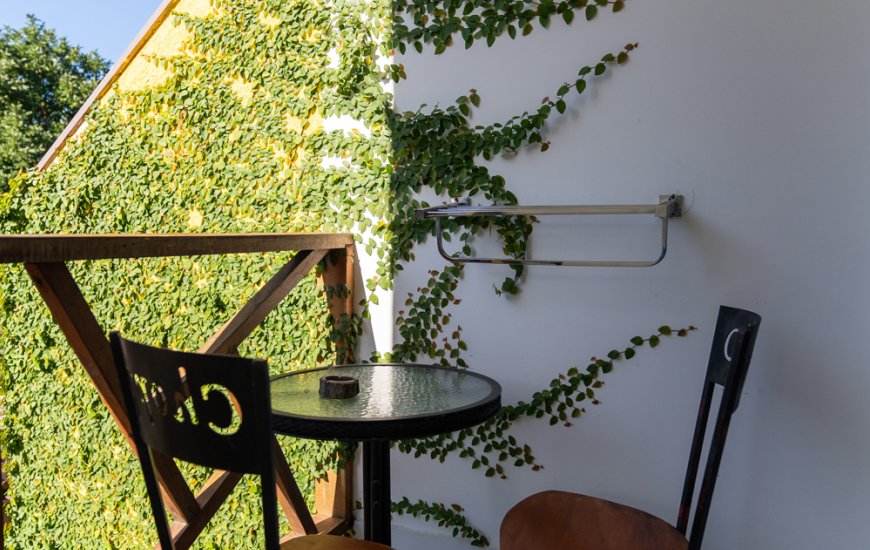 Guia de Maraú - Galeria e Suítes Canto do Sol