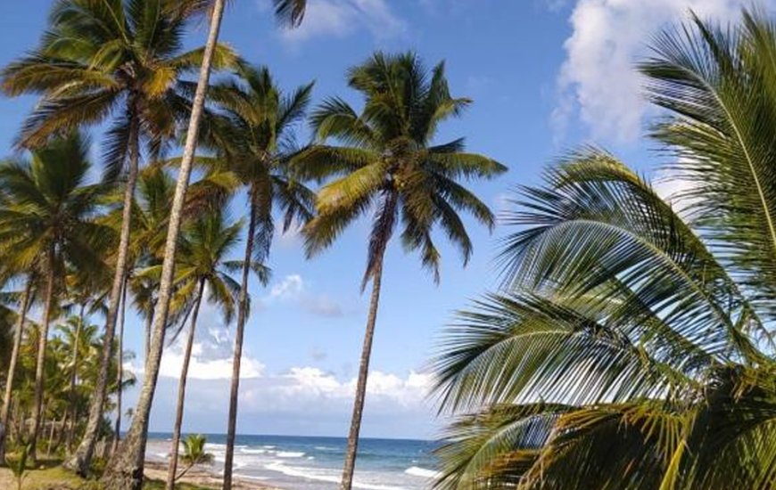 Guia de Maraú - João Cabana Praia Hotel