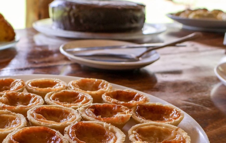 Guia de Maraú - Pousada Barra Trip