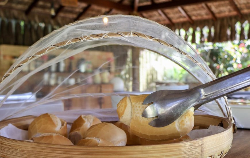 Guia de Maraú - Pousada Barra Trip