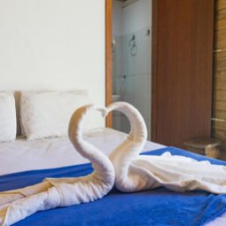 Standard Deck 1 Andar