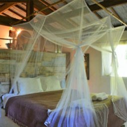 Butterfly House Bahia - Supreme Bungalow Quimera