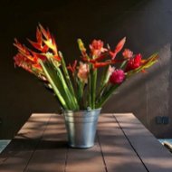 Guia de Maraú - Fazenda Santa Rita do Paty