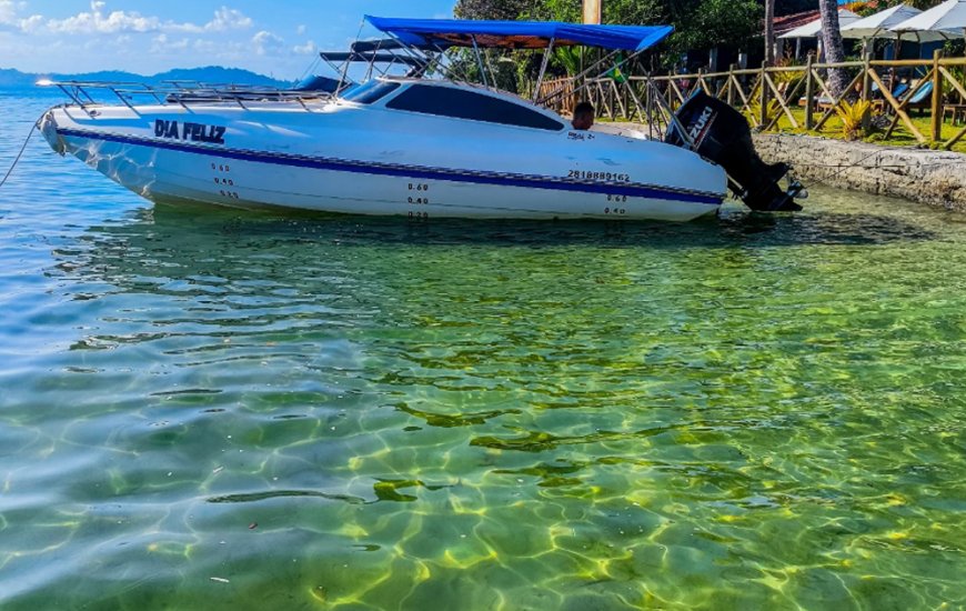 Guia de Maraú - APEL