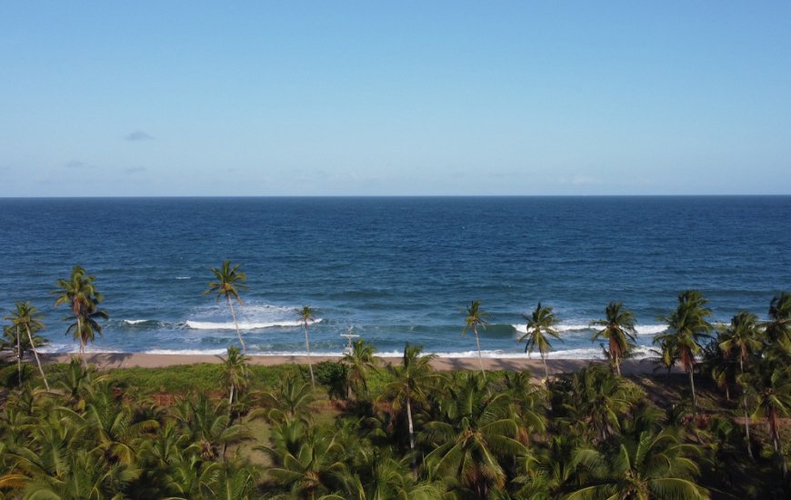 Guia de Maraú - APP Guia de Maraú
