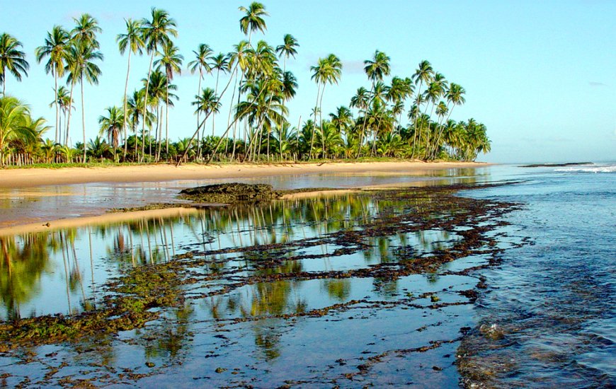 Guia de Maraú - APP Guia de Maraú