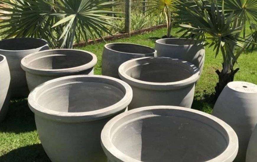 Guia de Maraú - Jardim de Praia Plantas e Paisagismo