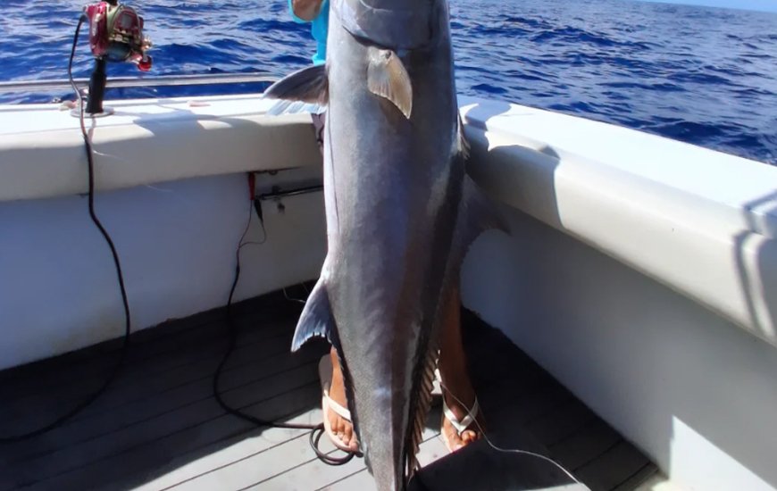 Guia de Maraú - Barra Grande Fishing Experience