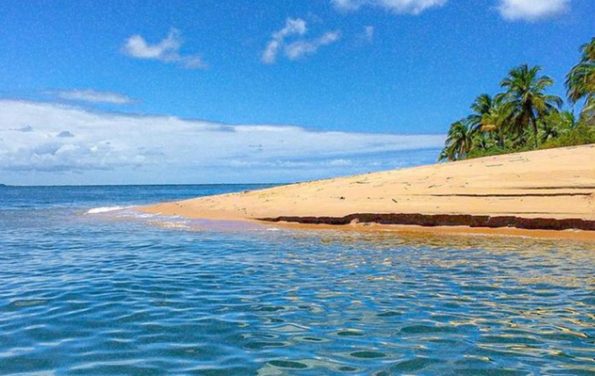 Guia de Maraú - Barra Turismo