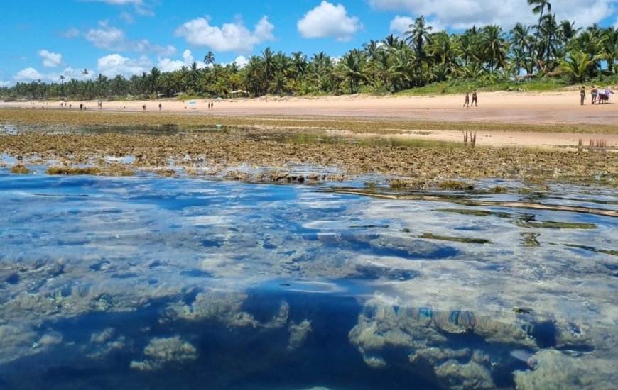 Guia de Maraú - Canto Afetos Espaço Terapêutico