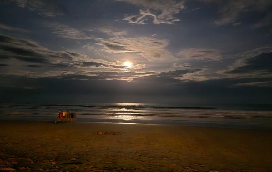 Guia de Maraú - Canto Afetos Espaço Terapêutico