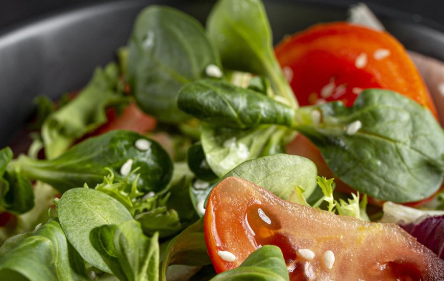 Guia de Maraú - Casa Prime Taipu