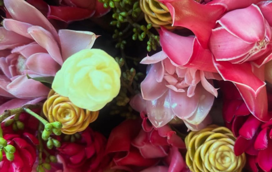 Guia de Maraú - Fazenda Santa Rita do Paty