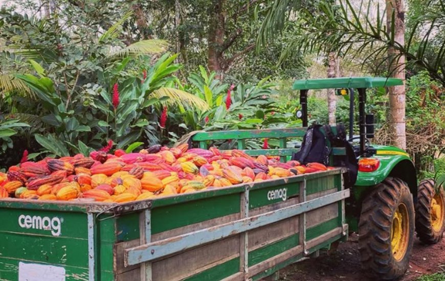 Guia de Maraú - Fazenda Santa Rita do Paty