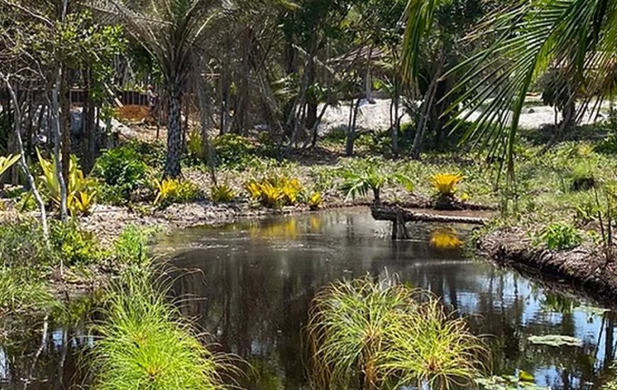 Guia de Maraú - Maraú Ecossistemas