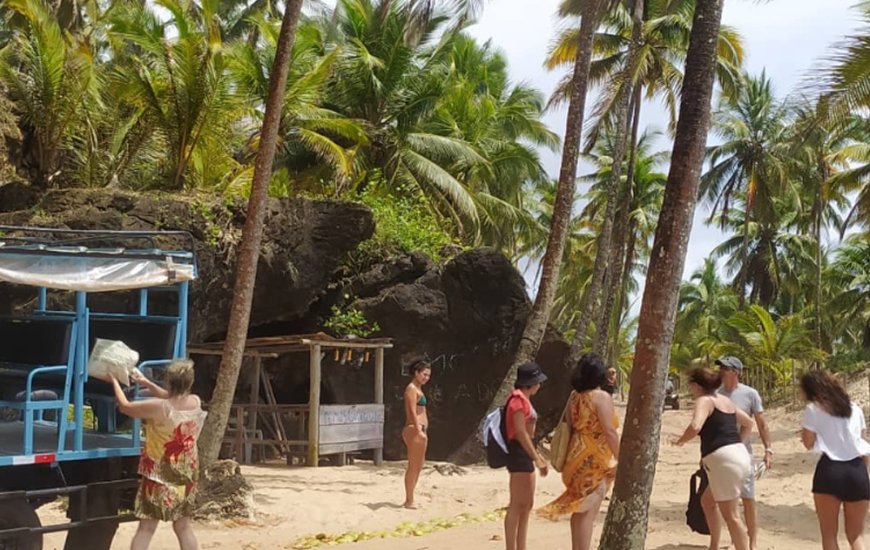 Guia de Maraú - Península Turismo