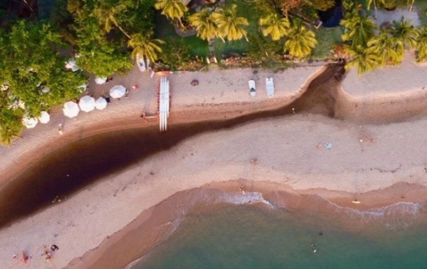 Guia de Maraú - Ponta da Baleia Turismo