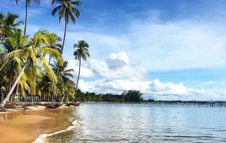Guia de Maraú - Ponta da Baleia Turismo