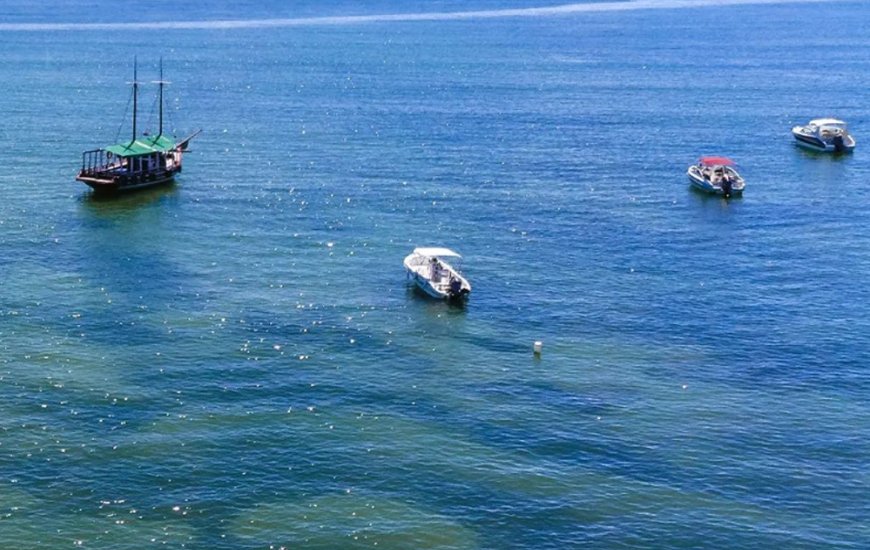 Guia de Maraú - Ponta da Baleia Turismo