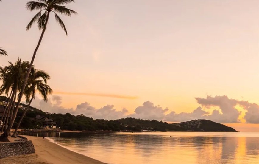 Guia de Maraú - Ponta da Baleia Turismo