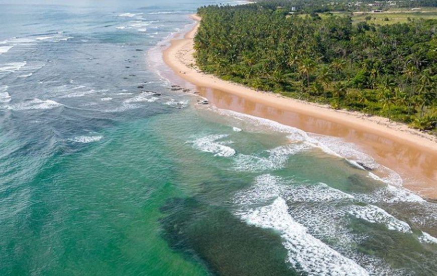 Guia de Maraú - Ponta da Baleia Turismo