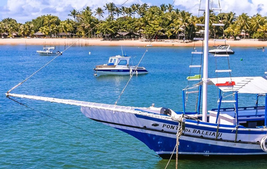 Guia de Maraú - Ponta da Baleia Turismo