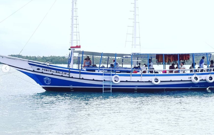 Guia de Maraú - Ponta da Baleia Turismo