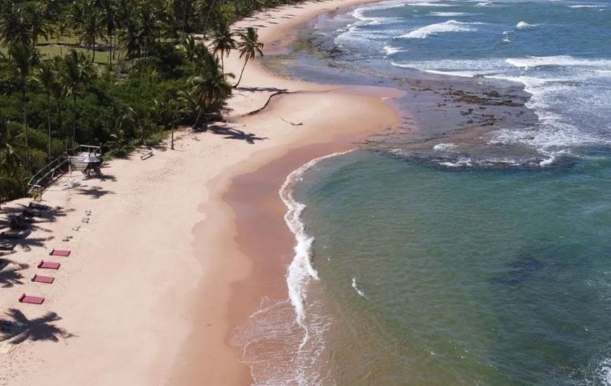 Guia de Maraú - Ponta da Baleia Turismo