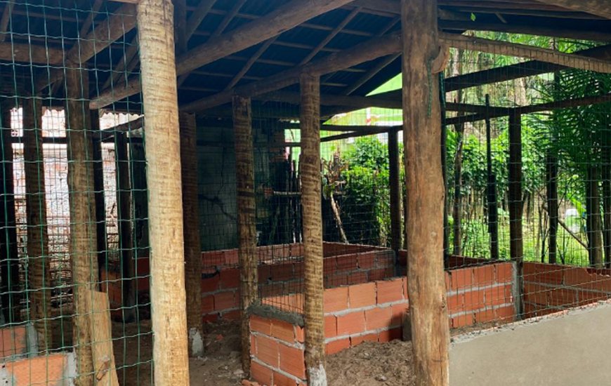 Guia de Maraú - Quatro Patas Pet Hotel e Clínica Veterinária