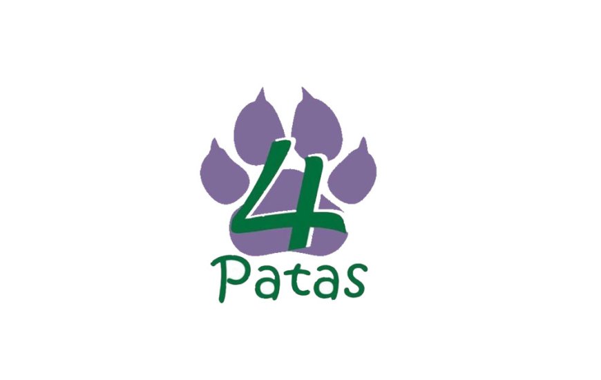 Guia de Maraú - Quatro Patas Pet Hotel e Clínica Veteriná
