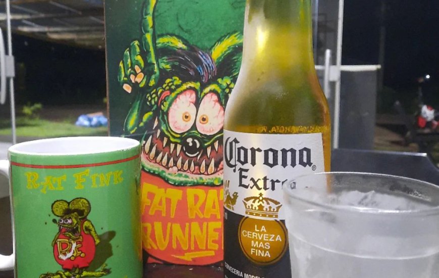 Guia de Maraú - Distribuidora Rat Fink Beach